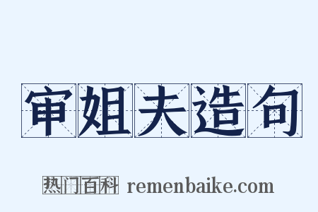 审姐夫造句是什么意思的图片